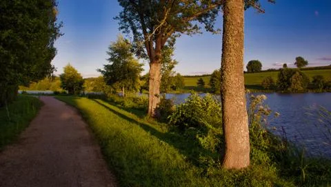 Lake with trees in the sunset Stock Photos