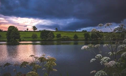 Lake with trees in the sunset Stock Photos