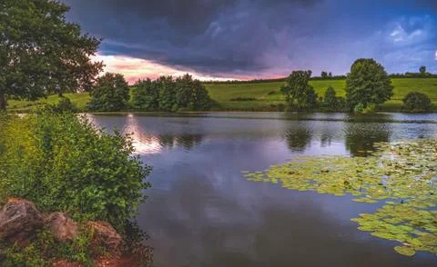 Lake with trees in the sunset Stock Photos