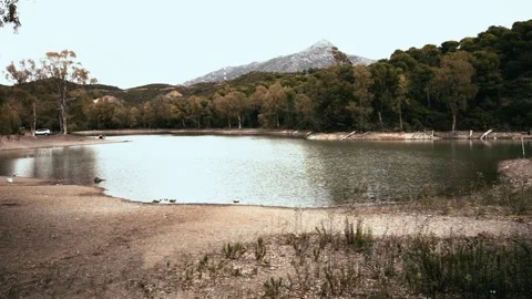 Lake of the turtles in marbella Stock Footage 160861766