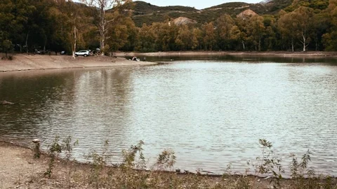 Lake of the turtles in marbella Stock Footage 160861822