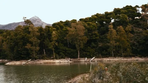 Lake of the turtles in marbella Stock Footage 160861839