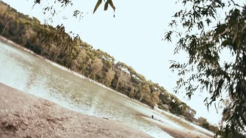 Lake of the turtles in marbella Stock Footage 160861902