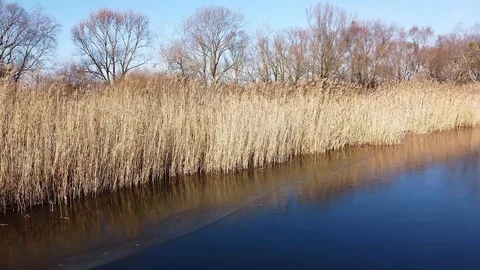 Lake under blue cloudy sky aero Stock Footage 122947371