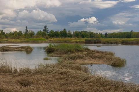 Lake under clouds Stock Photos