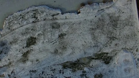 Lake under the ice and snow. Pines and trees Stock Footage 70542613