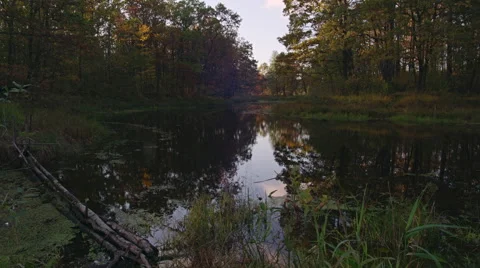 Lake in the valley of the river Sluch. Time lapse Stock Footage 68623706