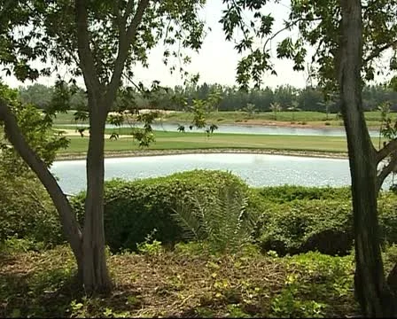 Lake View 2 Video stock 12677698