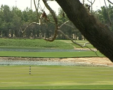 Lake View 3 Video stock 12675278