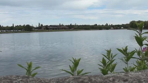 Lake View 6 Stock Footage 7902782