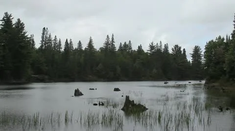 Lake View of Algonquin Park 動画素材 20529763