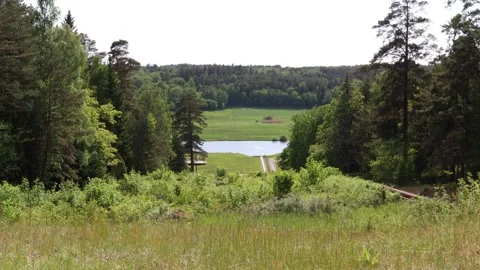 Lake view and forest. Stock Footage 250476280