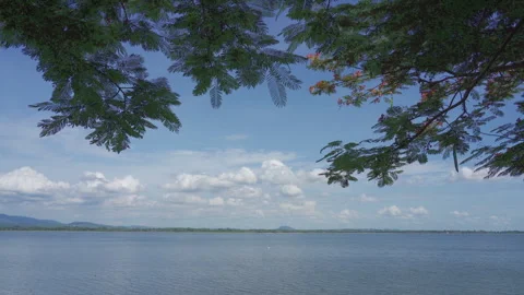Lake view Barbados Pride Clouds sunny day 4K Vídeos de archivo 248064060