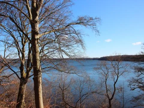 Lake View with Bare Trees in Foreground Stock Photos