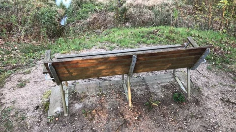 Lake View from the Bench 4K Forrest Nature Water Stock Footage 106898344