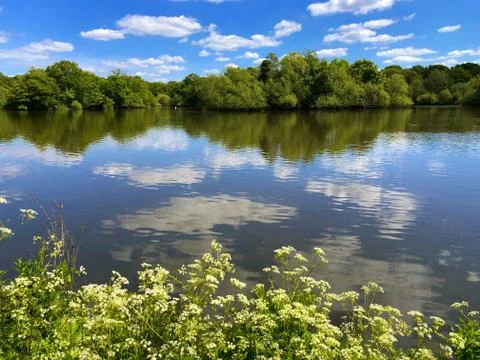 Lake view with blue sky reflection on water, England. Stock Photos