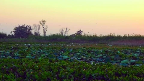Lake view from boat Stock Footage 72562065