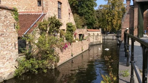 A lake view in Bruge Stock Footage 79622181