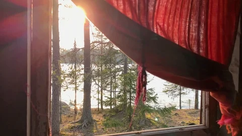 Lake view from a cabin window in a forest Stock Footage 110915432