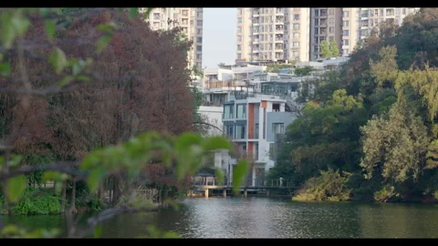 Lake View with Distant City and Foliage for Mindfulness Background Use Stock Footage 328091878