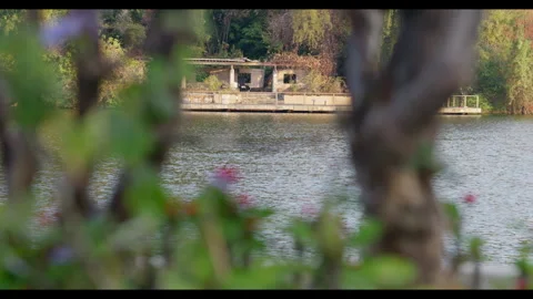 Lake View with Distant Pavilion Through Foliage for Mindfulness Background Use Stock Footage 328091585