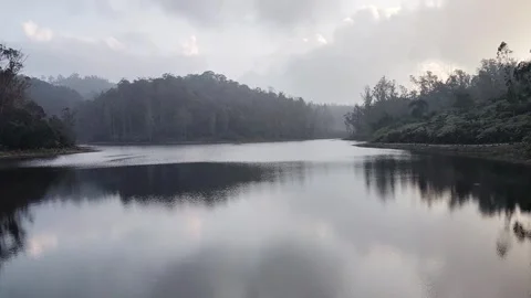Lake View With Distant Trees Stock Footage 300772792