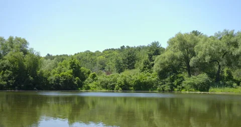 Lake view with ducks in the distance 2 Stock Footage 130907325