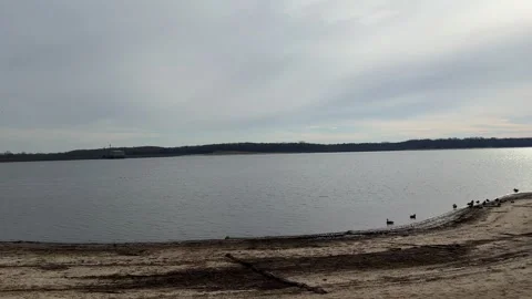 Lake view with ducks resting on sand 動画素材 294886571
