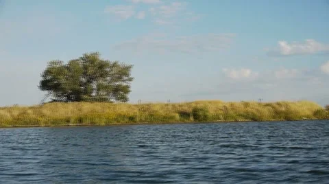 Lake view Vidéo 8766576