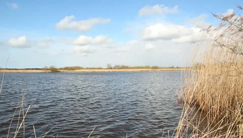 Lake view Stock Footage 11062922