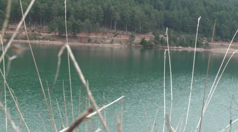 Lake View Stock Footage 41654127