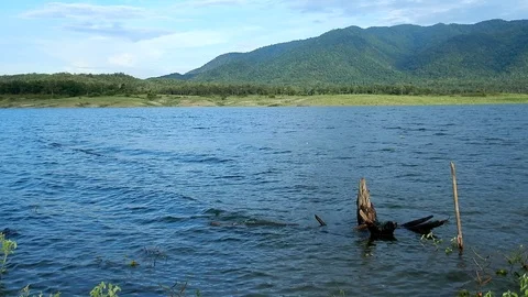 Lake view Stock Footage 96155870