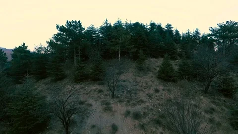 Lake View Stock Footage 97270755