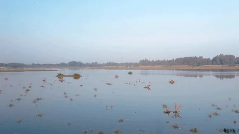 Lake View 스톡 동영상 102334303