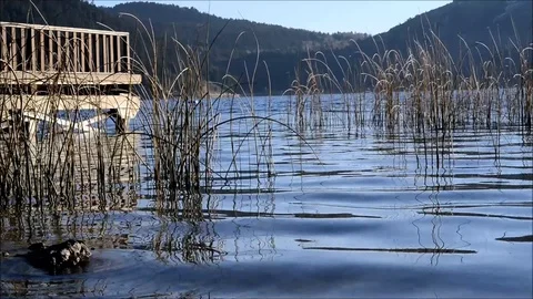 Lake view Stock Footage 111425217