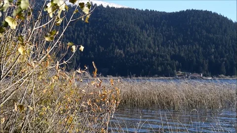 Lake view Stock Footage 111425638