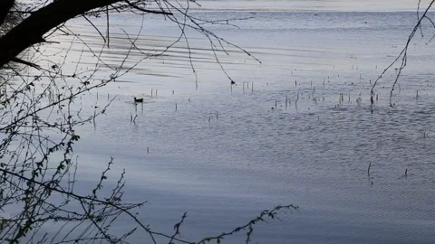Lake view Stock Footage 132444406