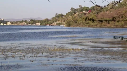 Lake view Stock Footage 132445239