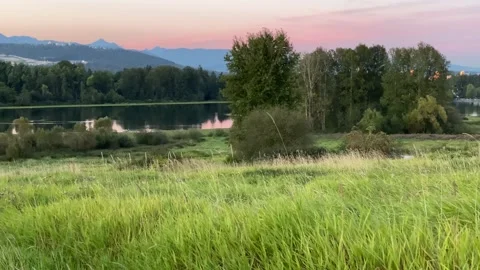 Lake View Stock Footage 138288889