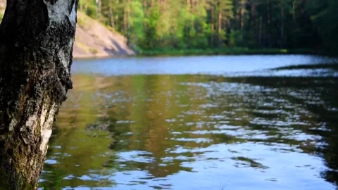 Lake view 動画素材 156811548