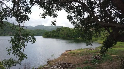 Lake view Vidéo 159316378