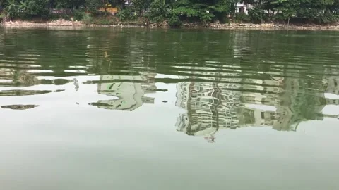 Lake View Stock Footage 251729233