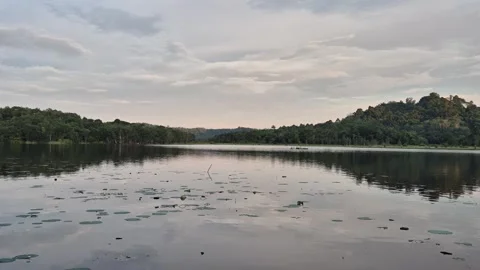 Lake view Stock Footage 297548500