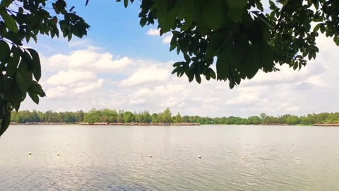 Lake view Vídeo Stock 340485376