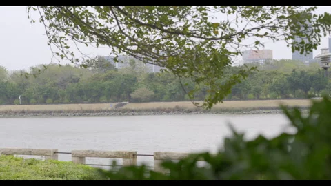 Lake View Framed by Tree Branches for Mindfulness and Nature-Based Content Stock Footage 327526686