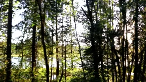 Lake view in motion . Summer evening. Evening light. We pass by the lake. Lake Stock Footage 151718543