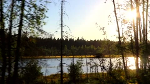 Lake view in motion . Summer evening. Evening light. We pass by the lake. Lake Stock Footage 151718563