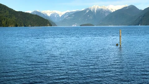 Lake View with Mountains Stock Footage 147896306