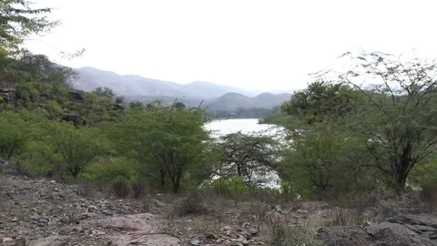 Lake view of mountains with green trees. Stock Footage 170122097