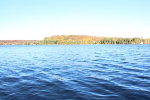 Lake view or a forrest Foto stock